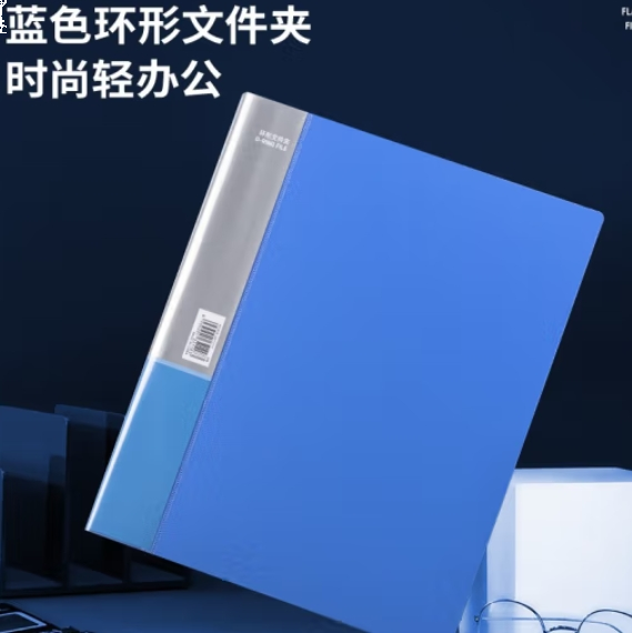 得力（deli） A4纸打孔文件夹 三孔活页夹  办公用品 5384